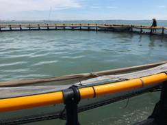 ΢�ňDƬ_20200611085147