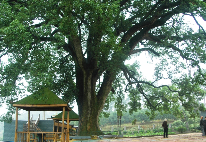 ǧ��Ř�ű���