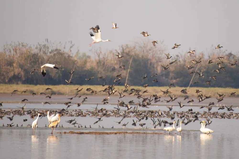 �����ľ����B֮�Q