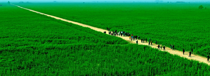 �����JȔ����