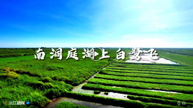 ȫ�����B�� | �f�B�wͥ���϶�ͥ���ϰ����w