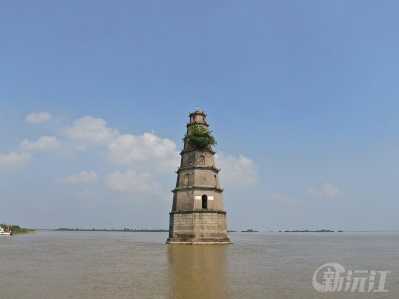 ��һ���佭�����϶�ͥ �^���ˮ� �p������� ���JȔʎ Ʒζ��ͥ�L��