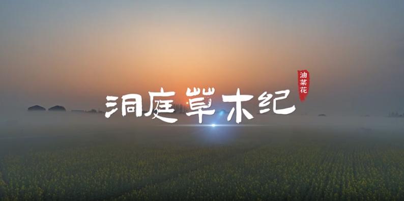 ��ͥ��ľ�o(j��)���Ͳ˻�