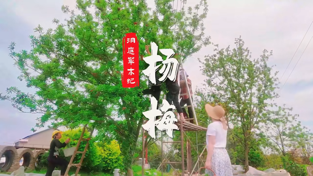 ��ͥ��ľ�o(j��)����÷