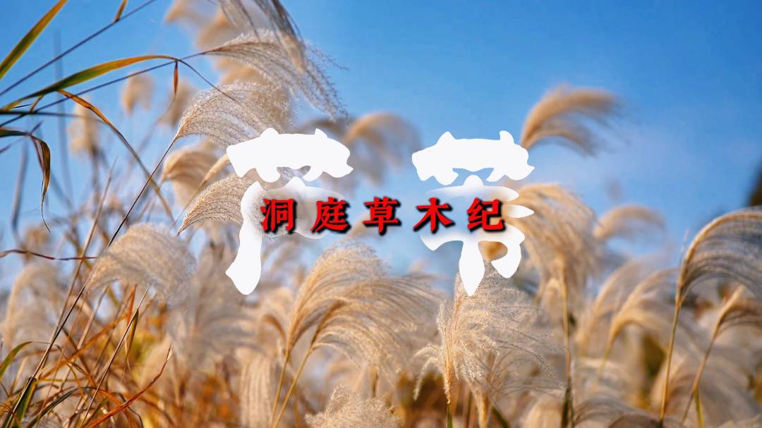 ��ͥ��ľ�o �� �JȔ