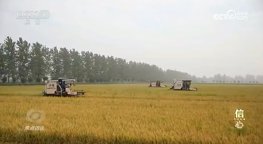 ��ҕ���佭 | ����2024���佭�ήa(ch��n)�����Z�S��