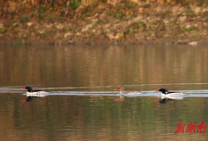 һ��(j��)�����������佭�^�꣡