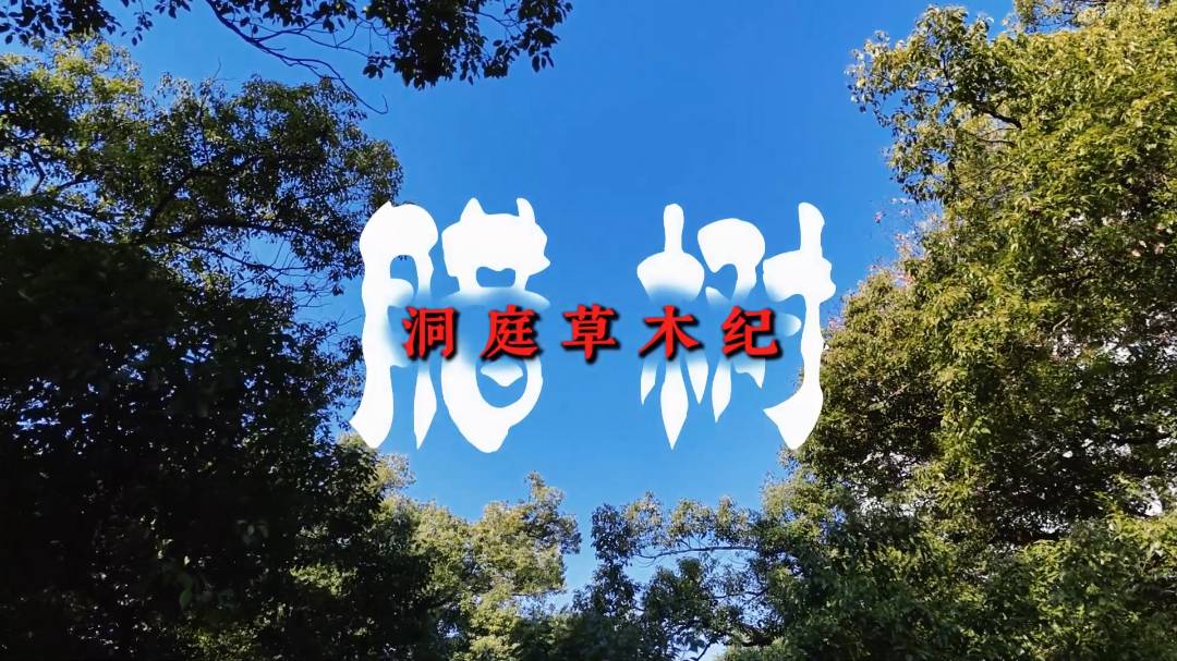 ��ͥ��ľ�o �� �D��