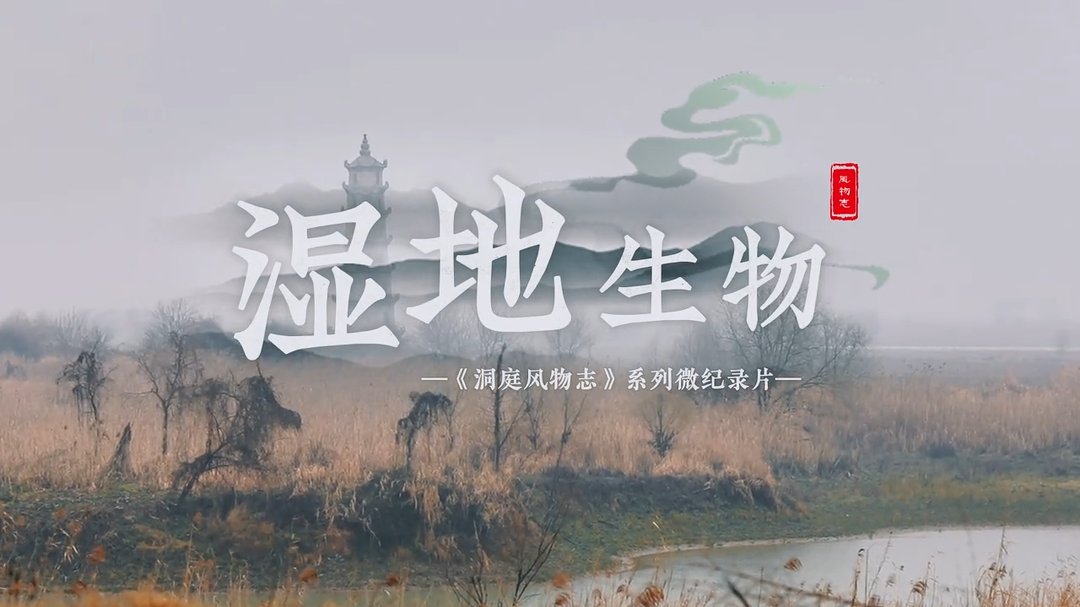 ��ͥ�L��־ �� �������