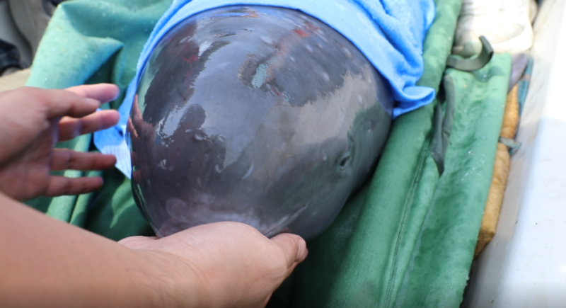 �佭��β���p�W(w��ng)����һ����48С�r(sh��)�������o(h��)����������Ó�U(xi��n)