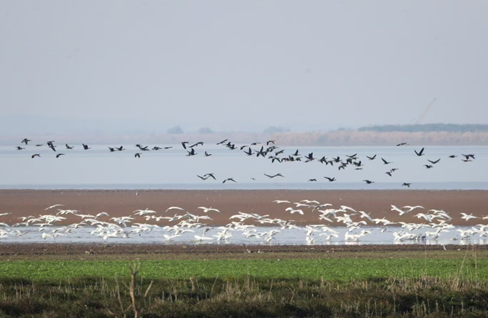 �佭����a�@ʯ�����@10����֪�R���B�����˶��@���°ͣ�