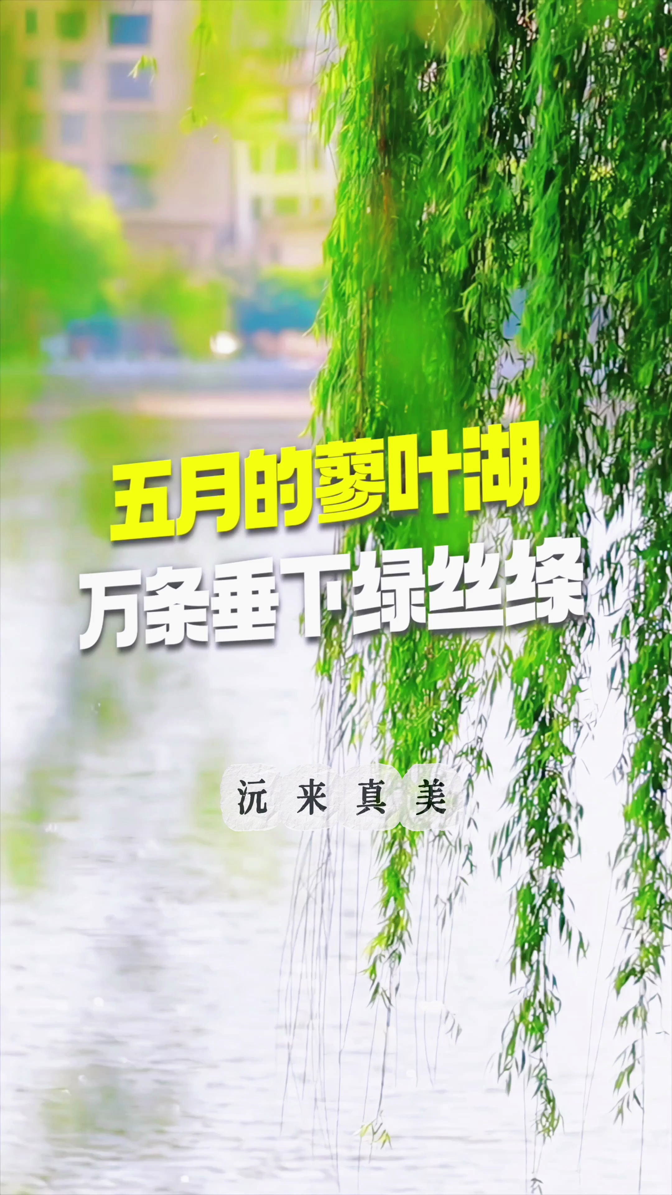 �佭˽�ء��G��ɭ�֡���Ȧ��5���f�l����ȫ���������S���Ķ����Ӱ����