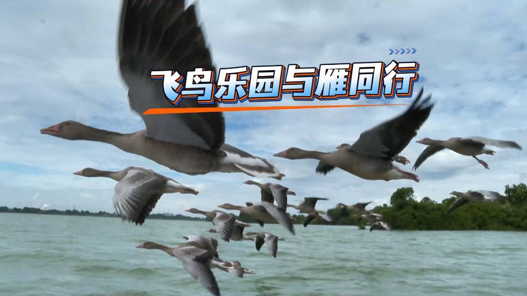 ǰ�����ȣ��佭�w�B���@����ǲ��ꠡ��󵽣�����׷��ͧ���r�B�����衭�ف���^��