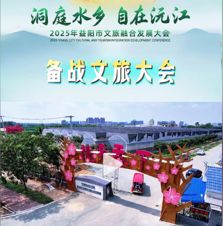 ������ô�������������ЌW�@�����W���ǈ�