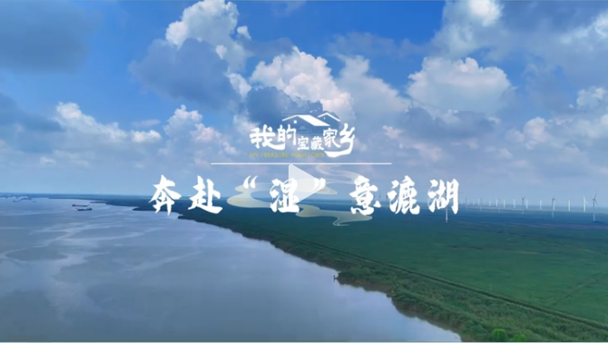 �ҵČ��ؼ��l(xi��ng) �� �������������� 