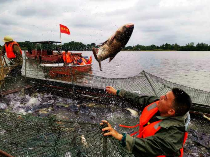 �������� | �~�Sœ�M�ƽ���